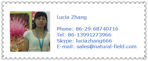 Green tea extract polyphenols powder 100% CAT NO.:989-51-5