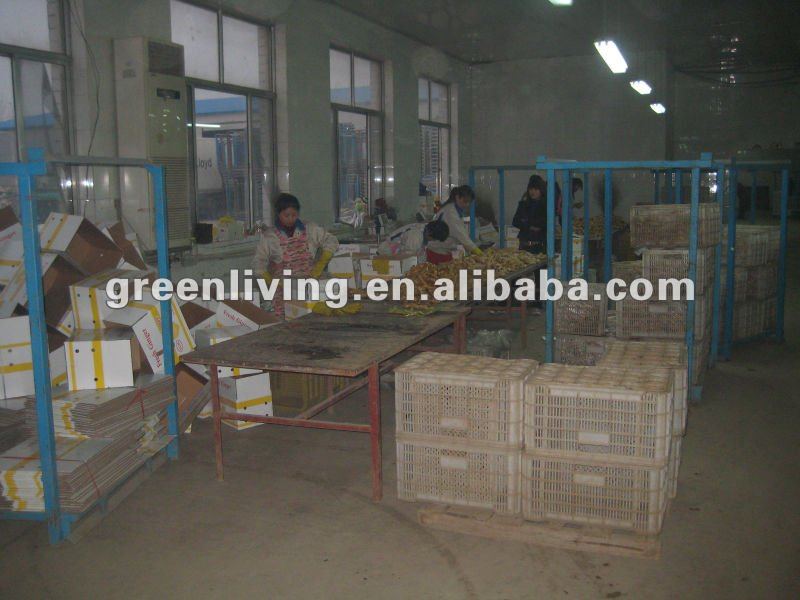 dried ginger export price(calciuum bag,carton,mesh bag)