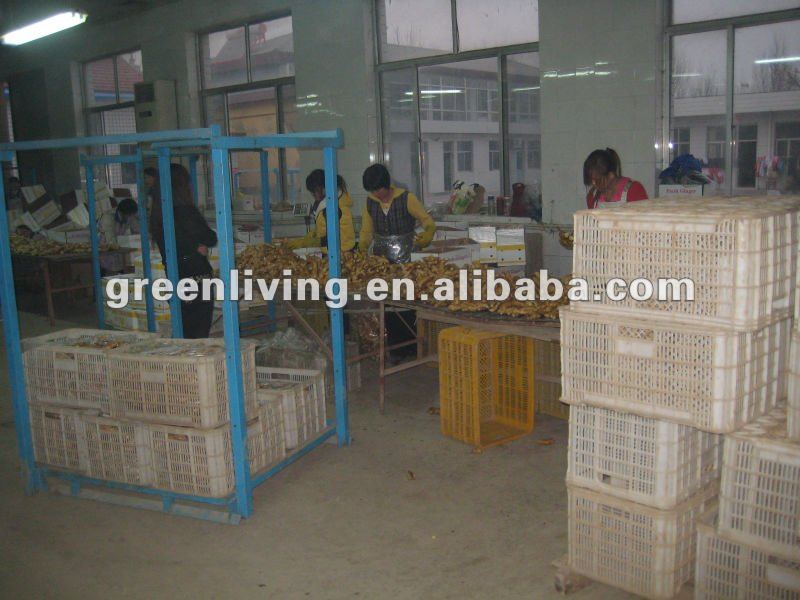 dried ginger export price(calciuum bag,carton,mesh bag)