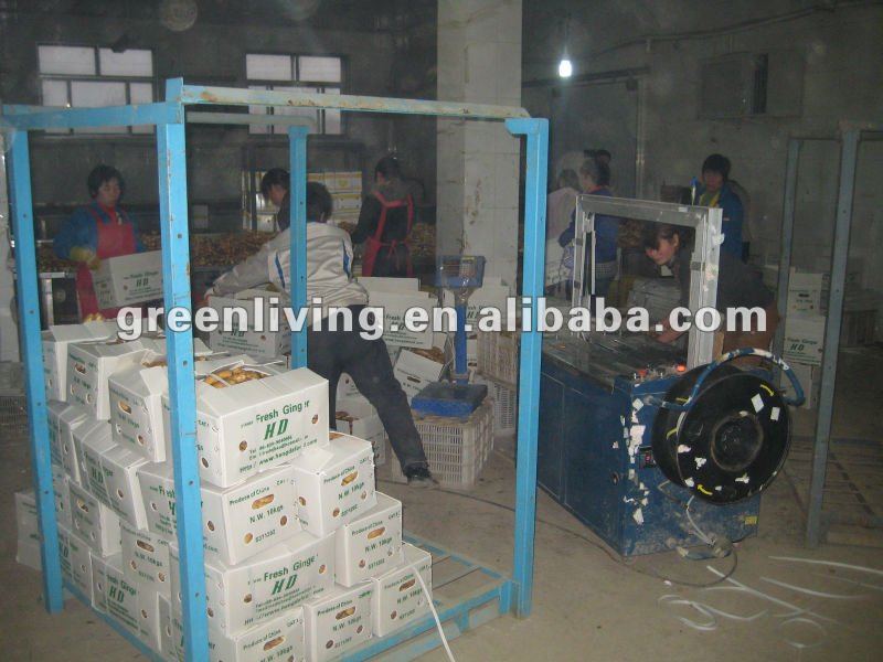 dried ginger export price(calciuum bag,carton,mesh bag)