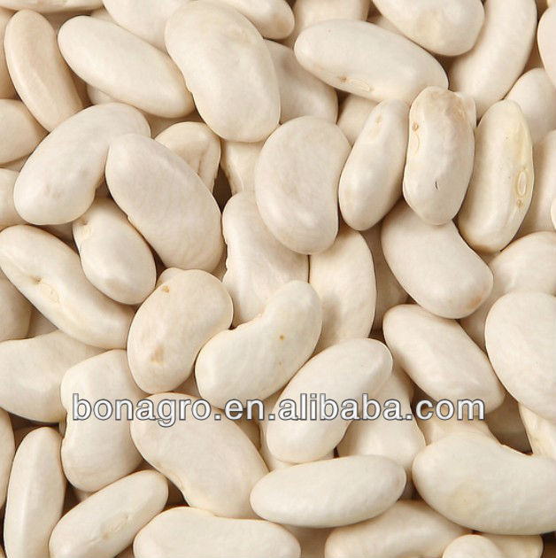 purple speckled kidney bean 2014 crop tops pp woven bag 50kg china supplier