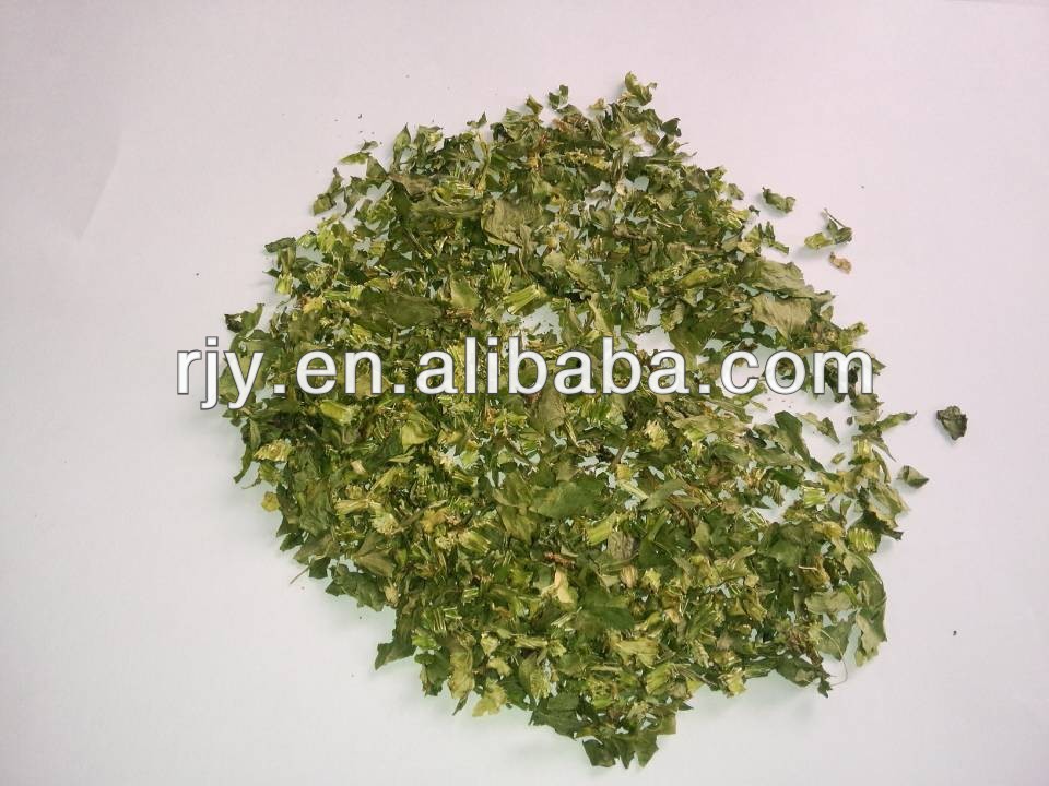 Dehydrated Parsley Leaves,China RZW price supplier 21food