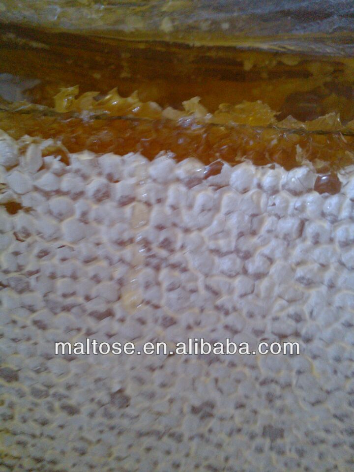 New Sidr Golden Combed Honey
