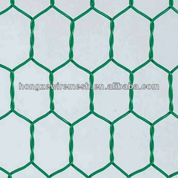 China_chicken_wire_mesh20108231154187.jpg