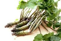 Wasabi Flavored Soy Dressing