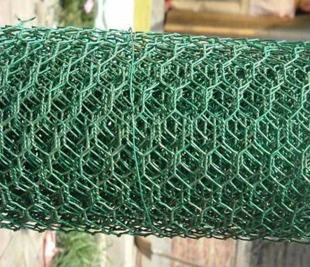 chicken wire mesh