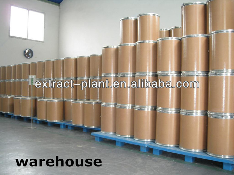 Samples Free White Tea Extract Tea Polyphenols 30%