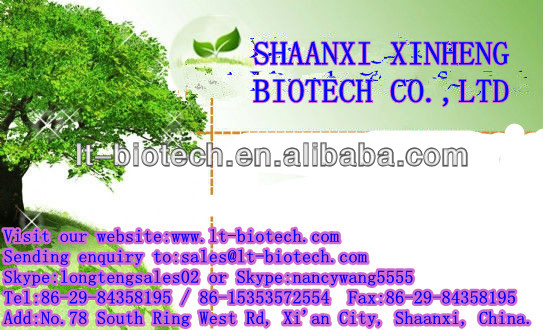 Manufacturer Supplier Wolfberry Extract Goji Berry Extract Powder 20%-70% Polysaccharide