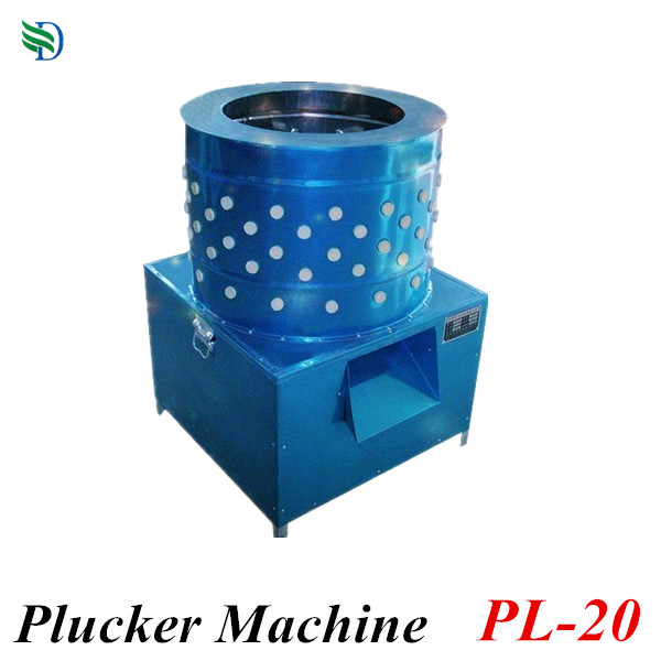 pl-20.jpg