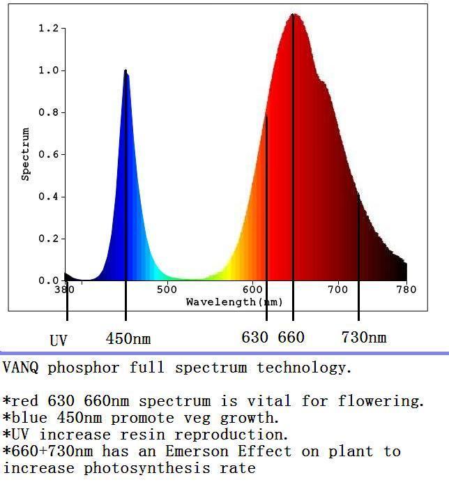 Grow Light Spectrum Chart