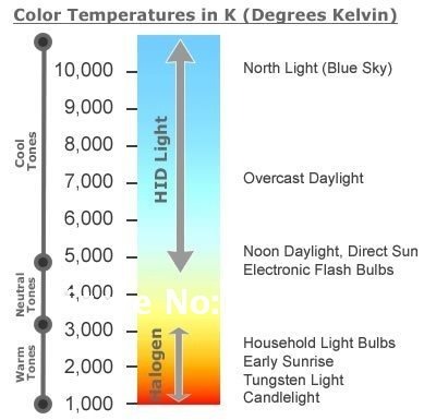 394902055_657.jpg