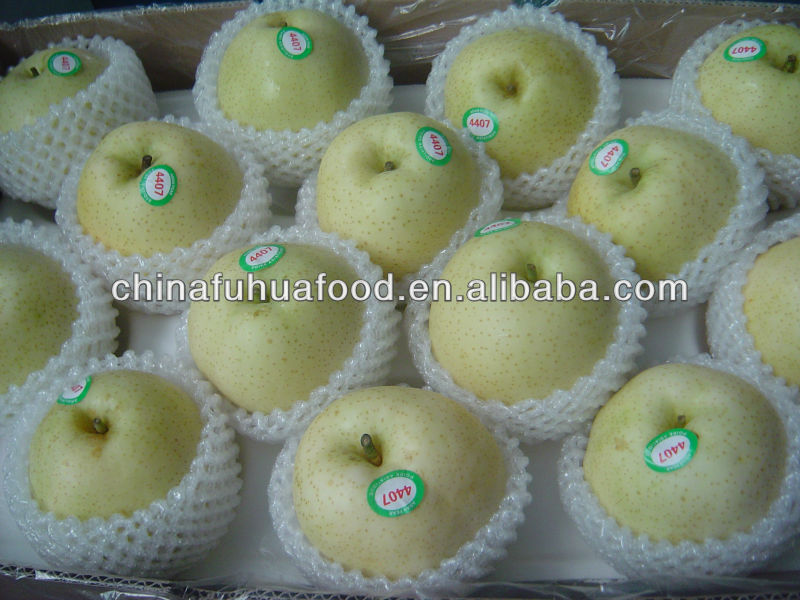 fresh pear ya pear