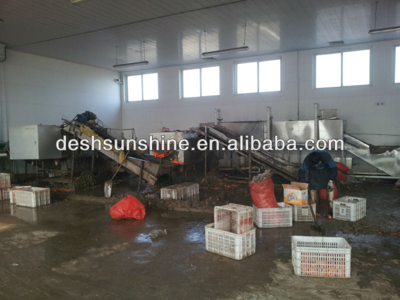 New Crop Bulk Fresh Carrot for Sale