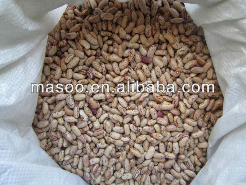 2013 New Type of Purple Speckled Kidney Beans PSKB