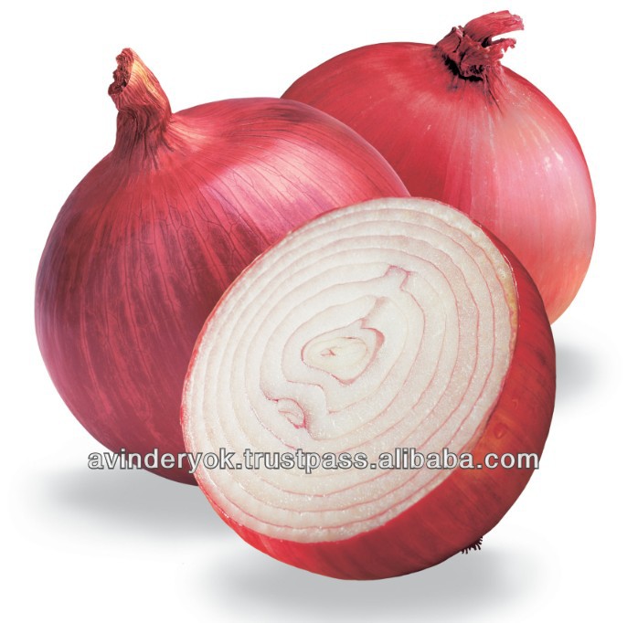 Fresh Common Cultivation Non-Peeled Onion for Sale