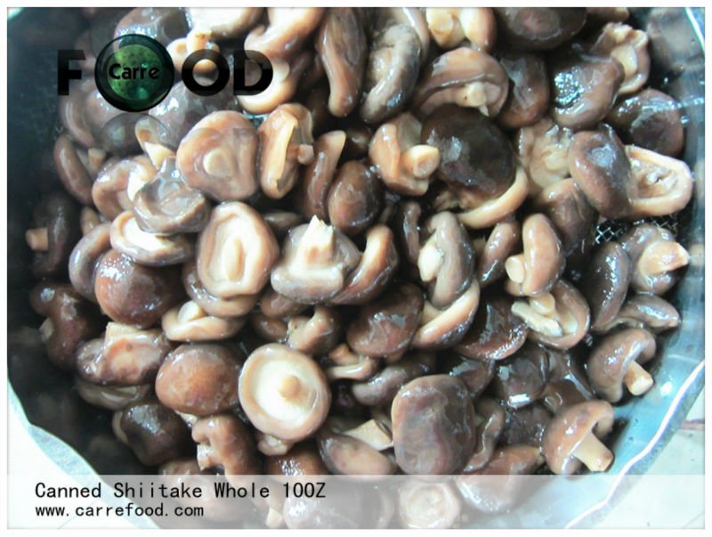 Canned Po-Ku mushroom in brine