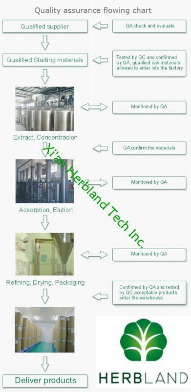 Gmp plant ,cocoa bean extracts,