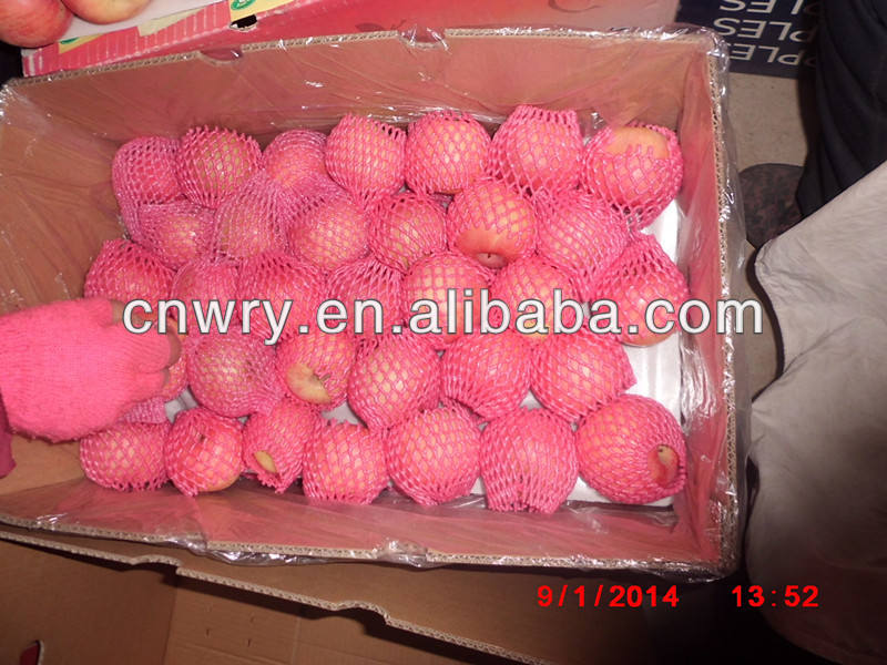 CHINESE FRESH FUJI APPLE NEW CROP