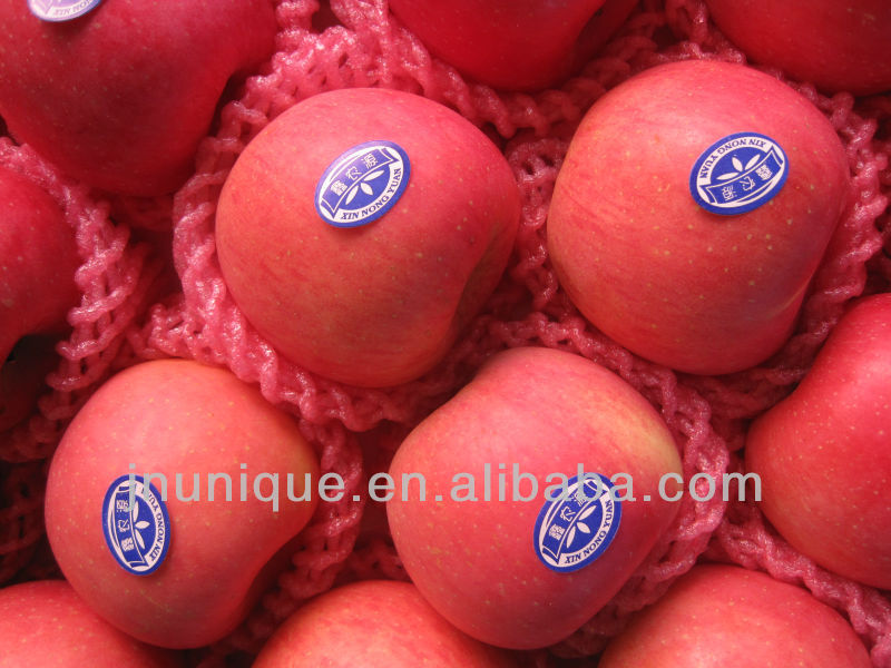 fresh vegetables and fruits,Chinese Red Fuji Apples