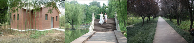 WPC outdoor solid and hollow wood plastic composite flooring with waterproof decking