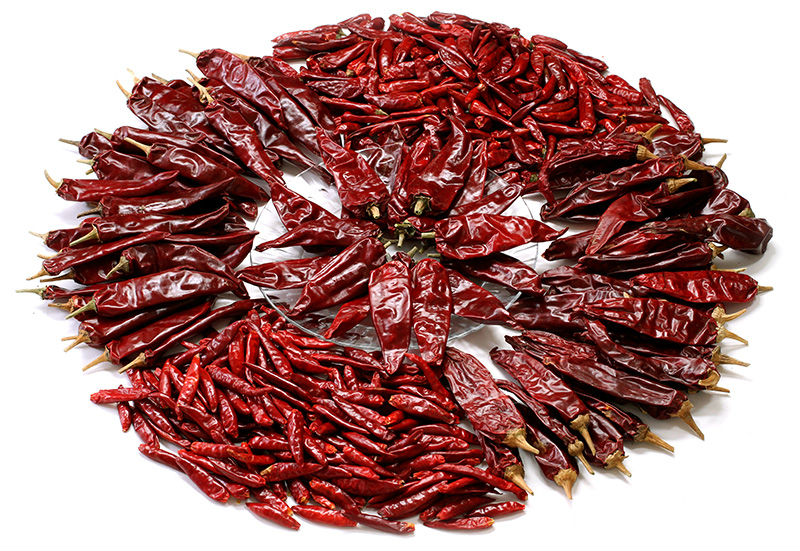 Chinese No 1 bullet chilli