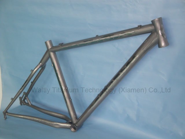 WT29