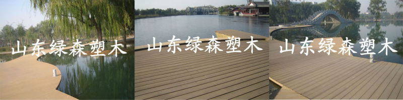 WPC outdoor solid and hollow wood plastic composite flooring with waterproof decking