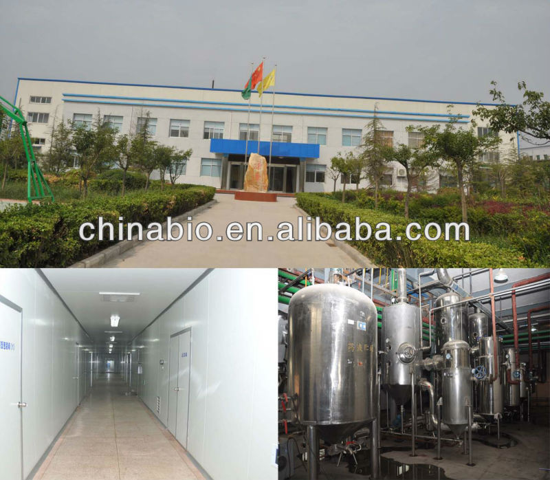 Cinnamon Bark Powder Extracts from GMP manufacturer