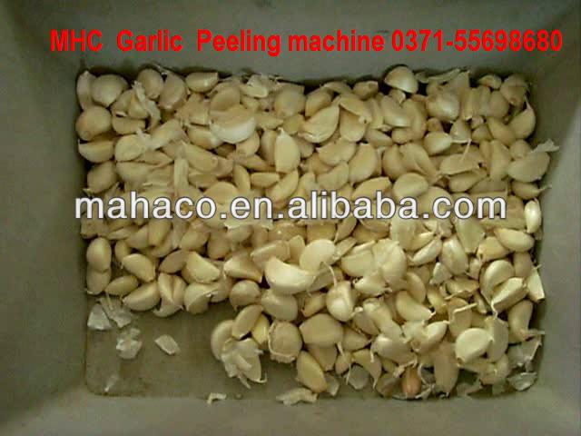 Garlic peeling machine dry way with capacity 300kg/h
