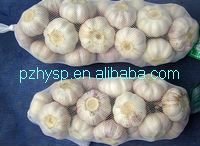Garlic price from China (the mostcompetitive price)