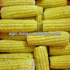 export frozen sweet corn kernels