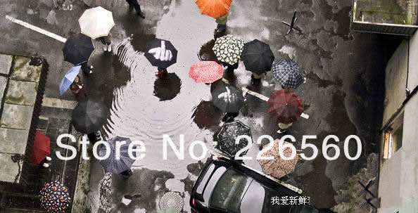 T2x59NXcxXXXXXXXXX_!!142122687.jpg