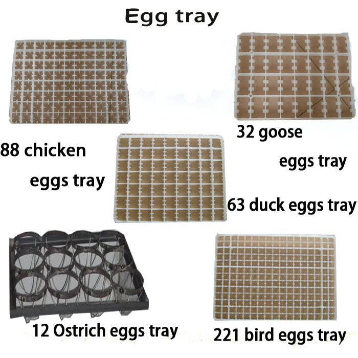 1001792587_667.jpg