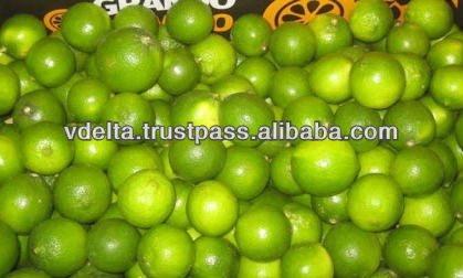 Fresh Green Lemon 2014 - Good price and high quality
