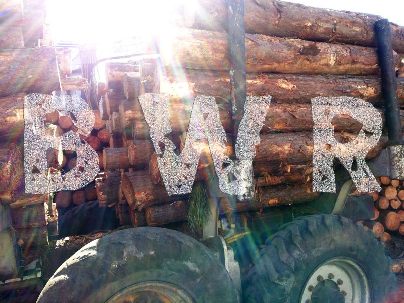 Yellow Pine Logs 1 - BWR - small