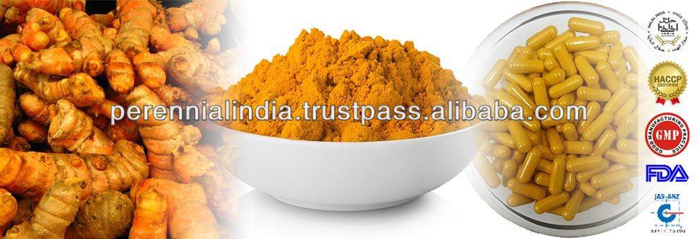 Natural Turmeric Extract, Curcumin 95% / ISO Curcumin Extract 95% by HPLC / Natural Curcuma Longa Extract 95%