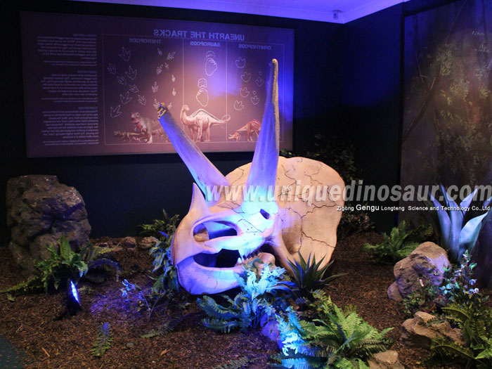 High Simulation Dinosaur Fossil Dig Dinosaur Fossil Toys.jpg