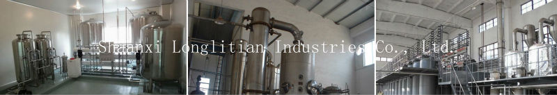 GMP manufacturer serve high quality powder decaffeinated green tea extract/green tea powder with good factory price+best service