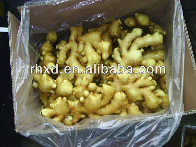 Fresh Ginger,Dry Ginger,Air Dry Ginger