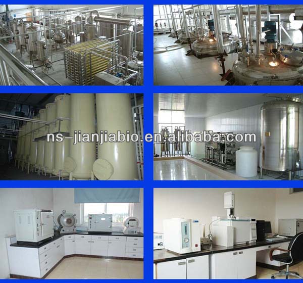 white tea extract powder