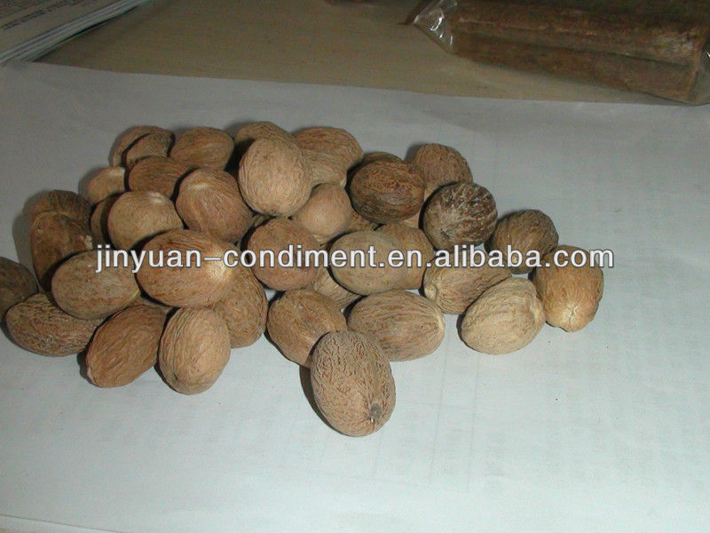 TOP QUALITY OF raw nutmeg without shell