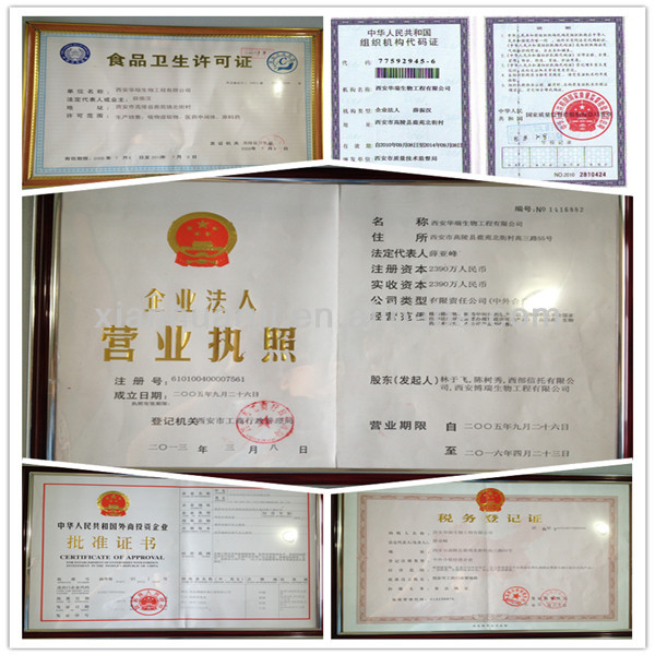 High Quality Marshmallow Extract/Althaea Officinalis Extract