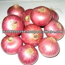 FRESH RED ONION FOR SALE