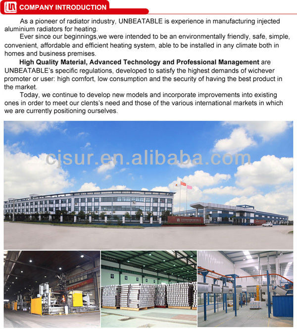 company introduction