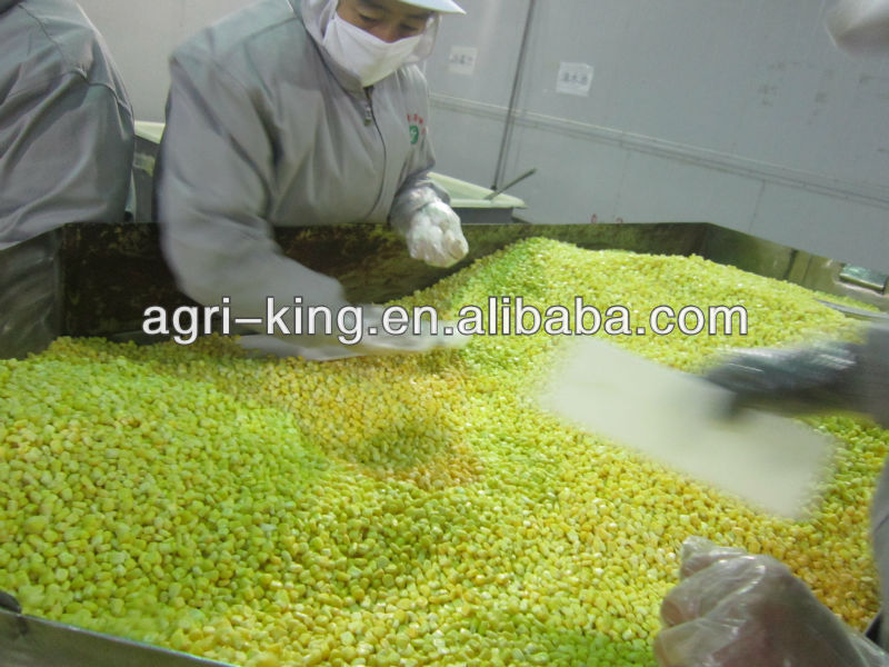 Grade A Frozen Sweet Corn Kernels