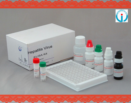 Elisaキットのための抗体をc型肝炎ウイルス( hcv) hcvelisa試薬問屋・仕入れ・卸・卸売り