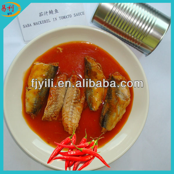 Best tin mackerel in tomato sauce competitive price