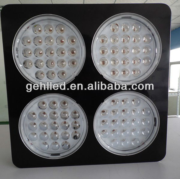 New adjustable full spectrum led grow light for black pepper /luttce