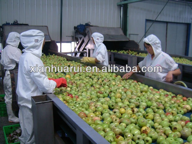 Halla Certificate Apple juice concentrate