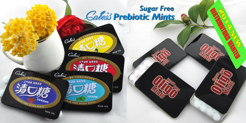 Pepper Mints Sugar Free Mints Prebiotics in tin box 2014 NEW
